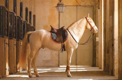 diy hermes horse saddle.